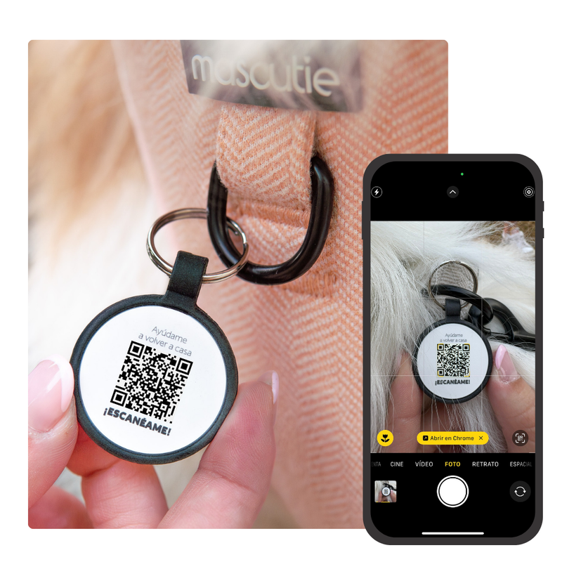 multicolumns-item-image-1