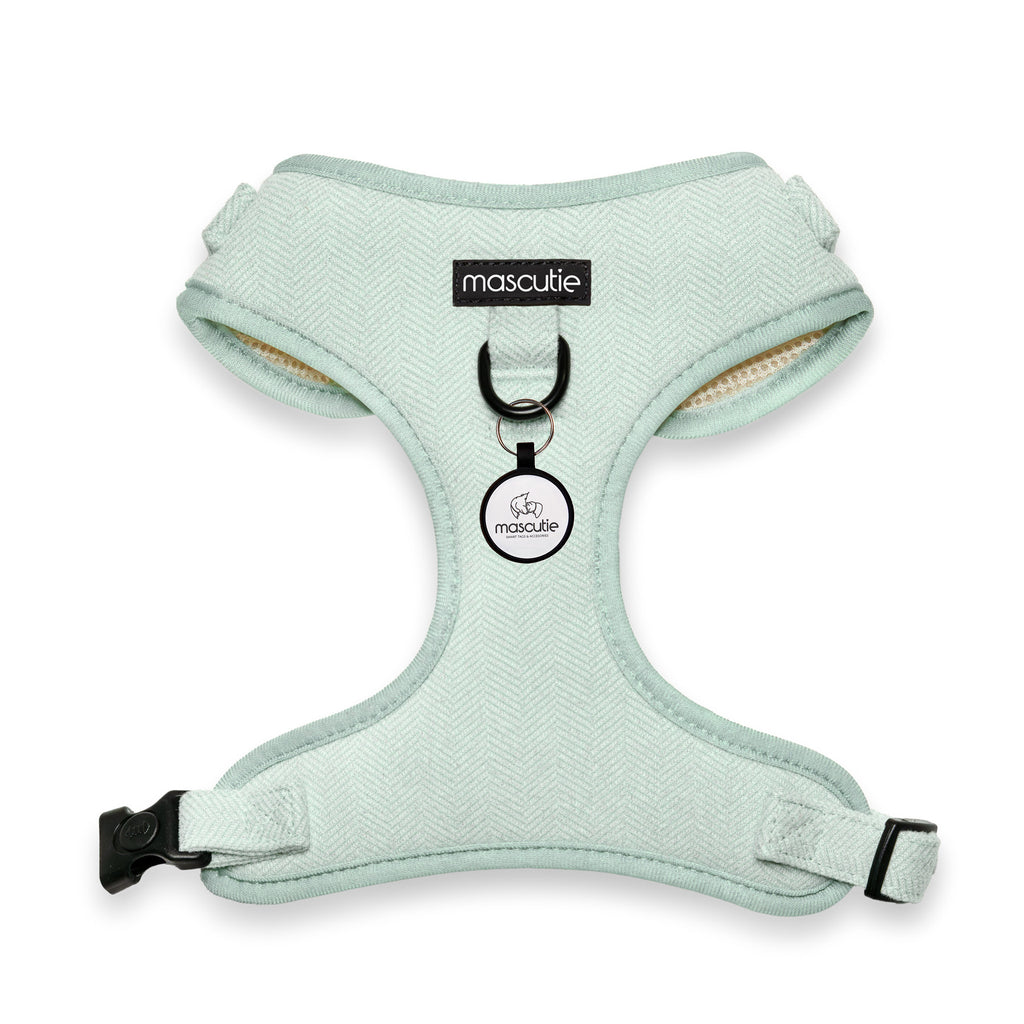 Arnés Tweed Mint + M-Tag