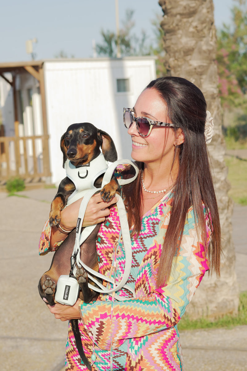 multicolumns-item-image-4