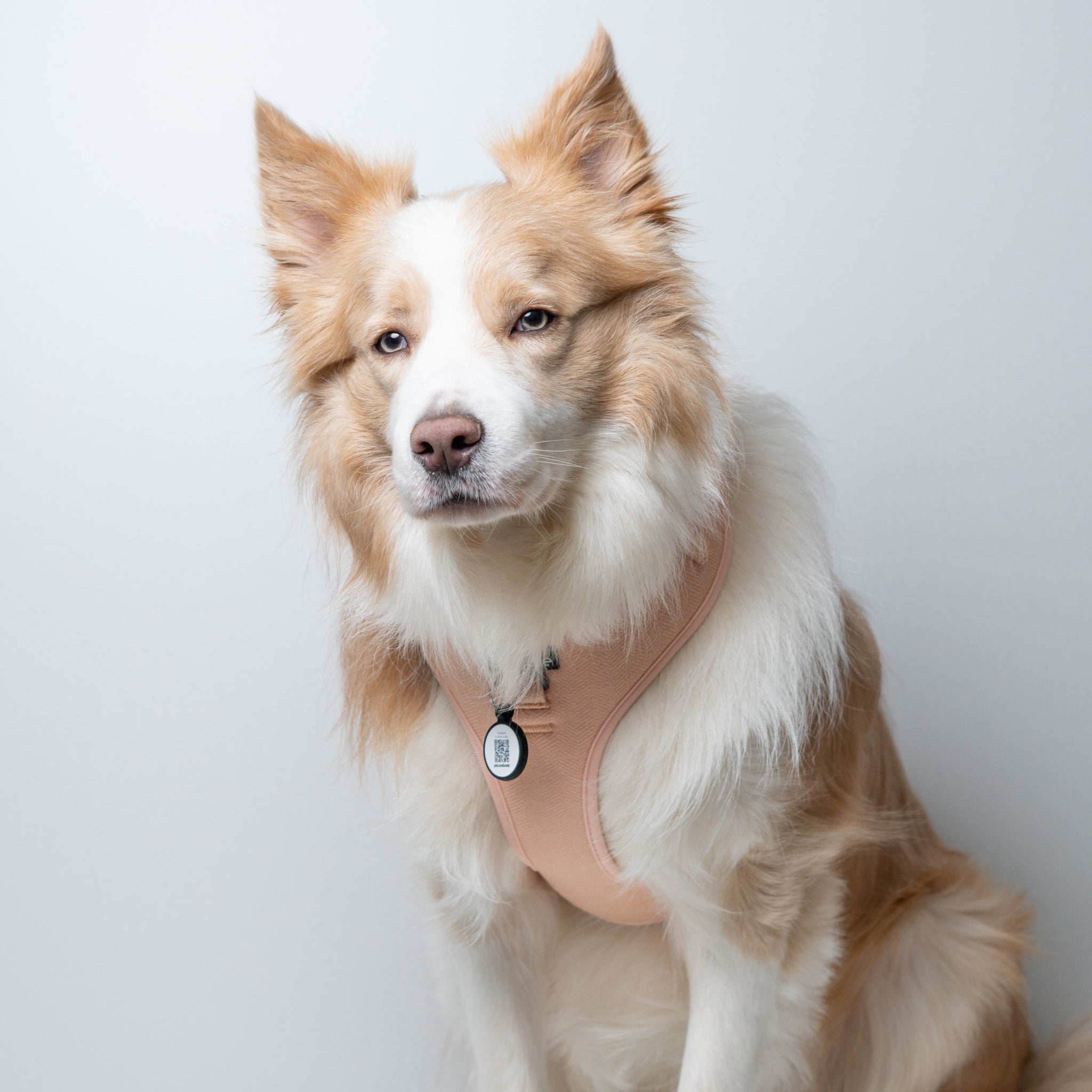 Arnés Tweed Peach + M-Tag