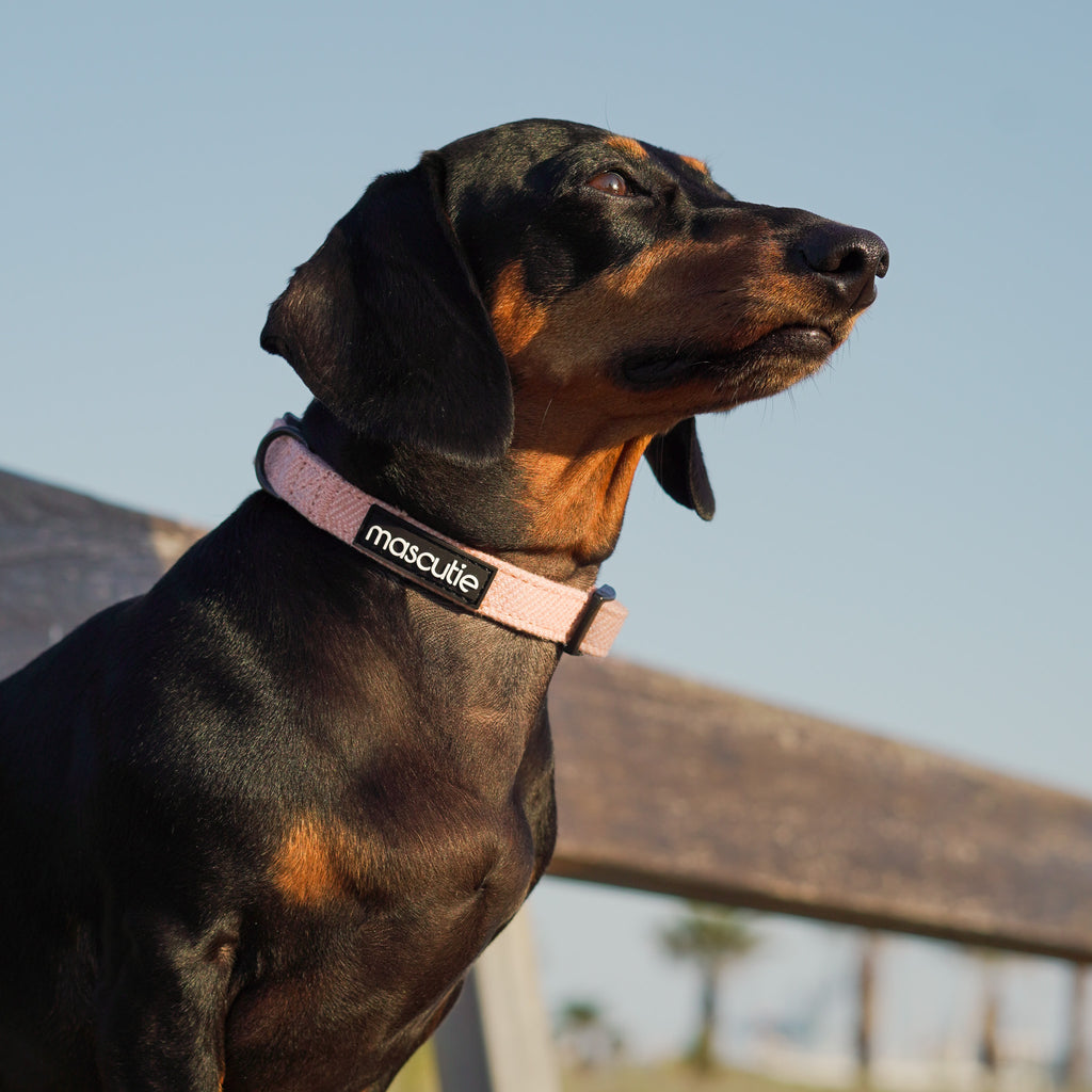 Collar Tweed Peach + M-Tag Slim