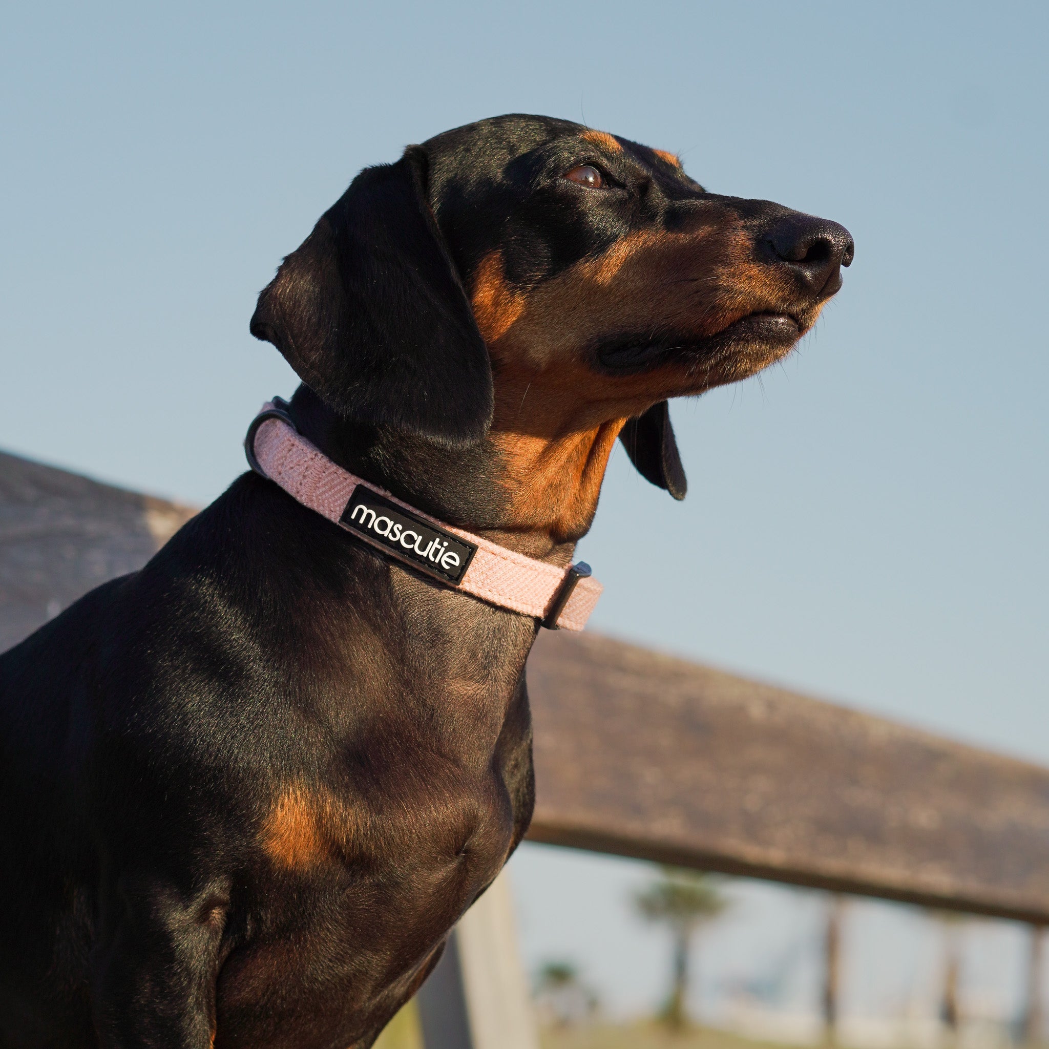 Collar Tweed Peach + M-Tag Slim
