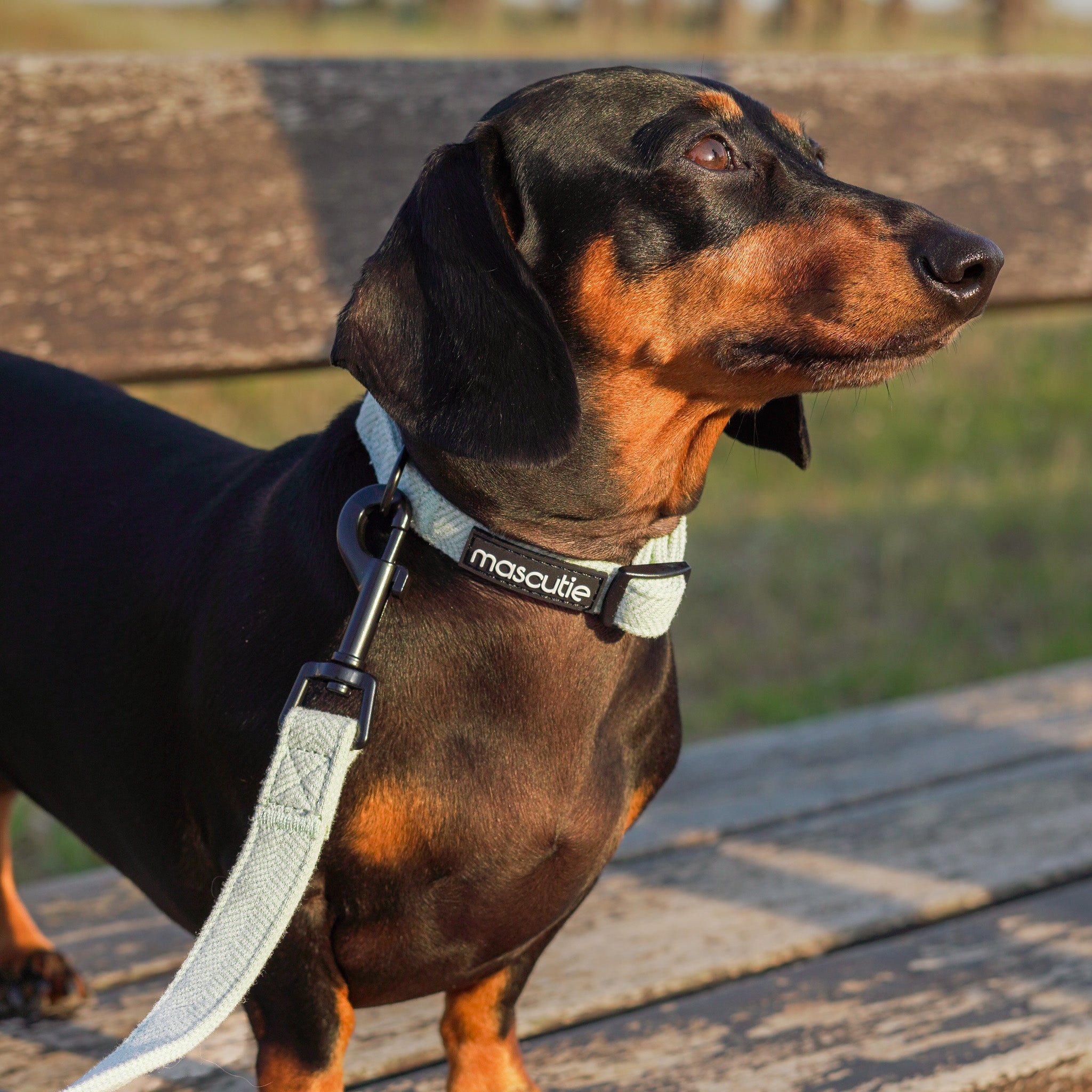 Kit Completo Collar Tweed I Mint