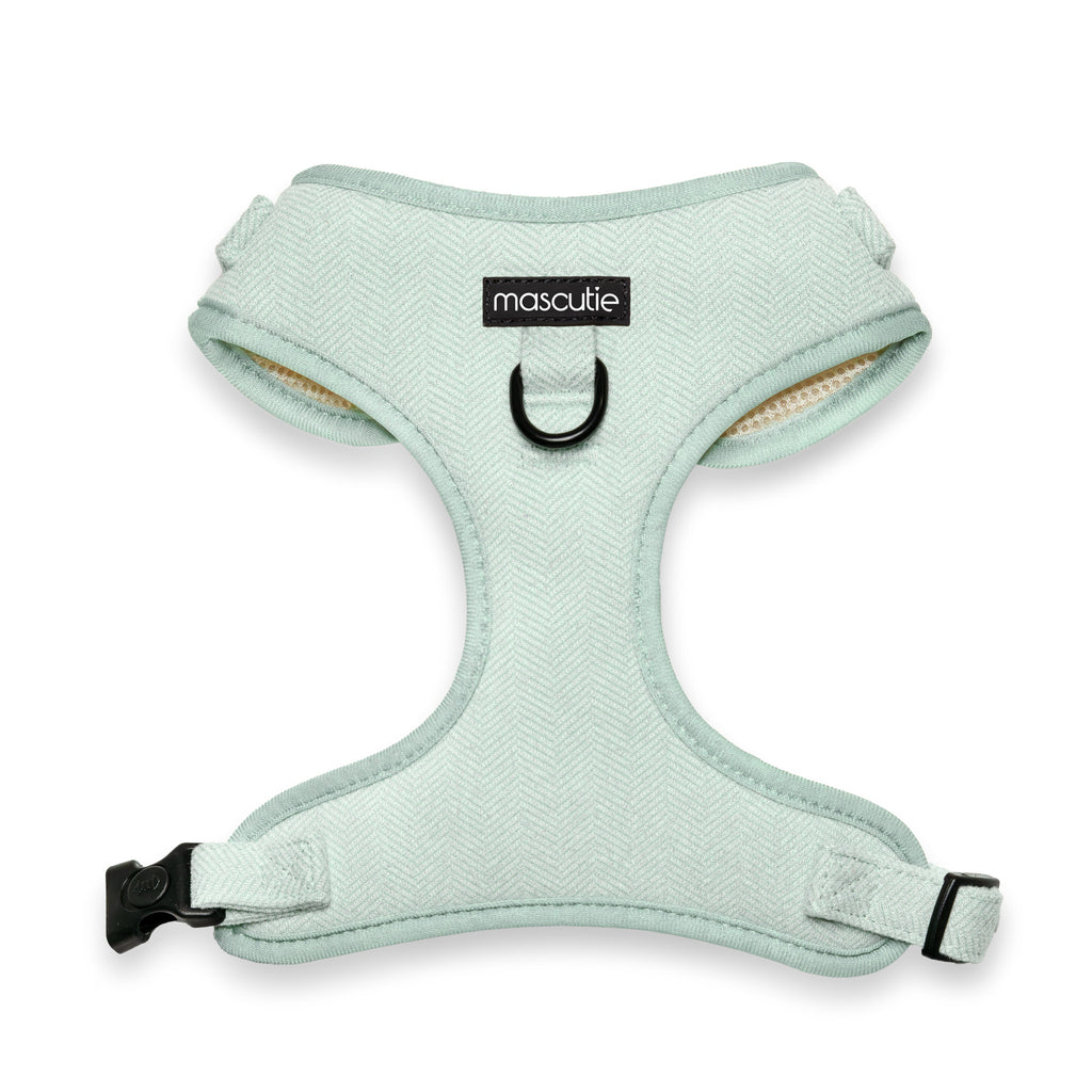 Arnés Tweed | Mint