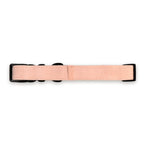 Collar Tweed | Peach