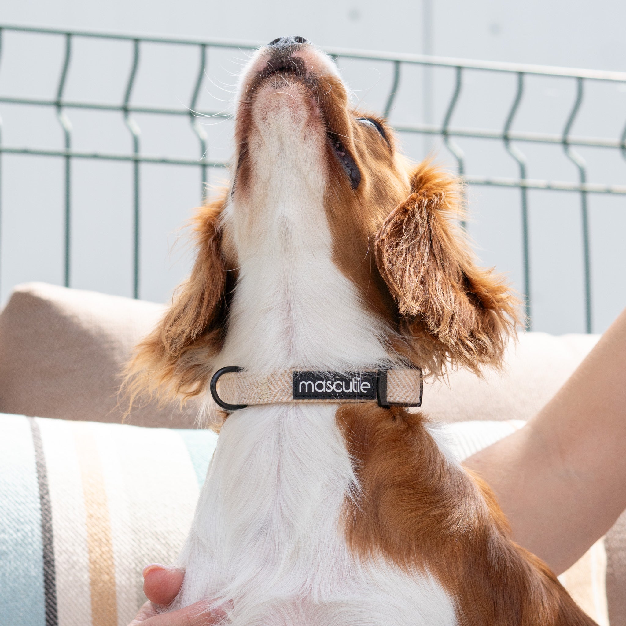 Collar Tweed | Sandy