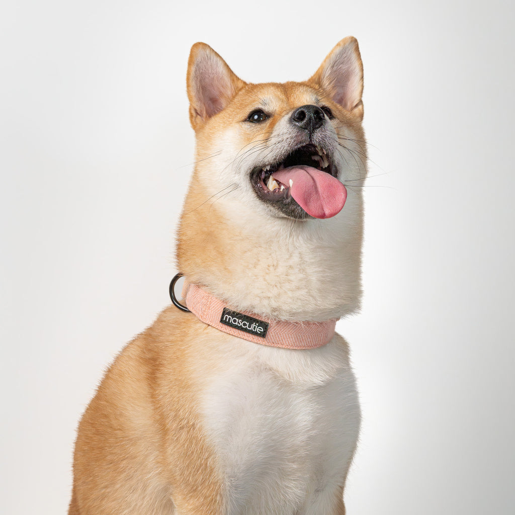 Collar Tweed | Peach