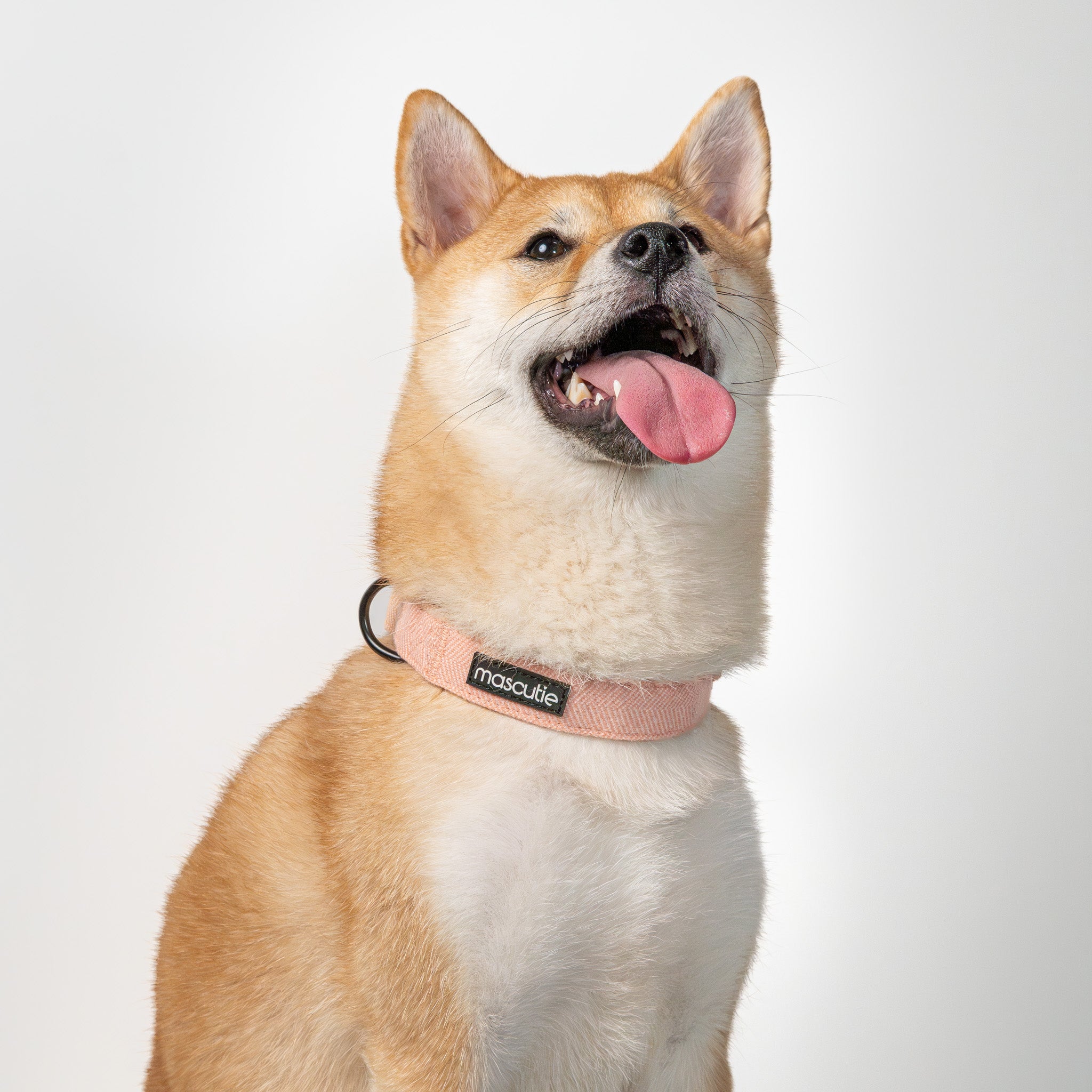 Collar Tweed | Peach