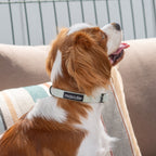 Collar Tweed | Mint