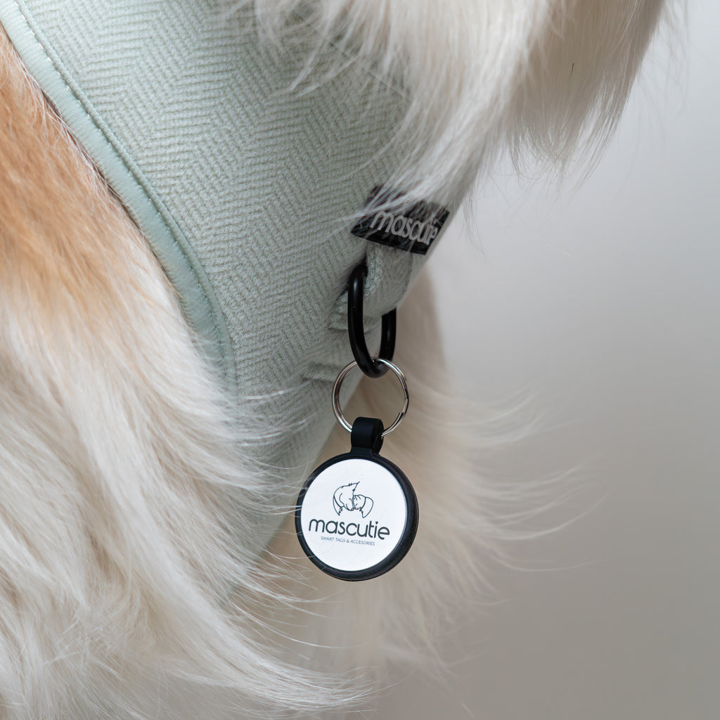 Arnés Tweed Mint + M-Tag