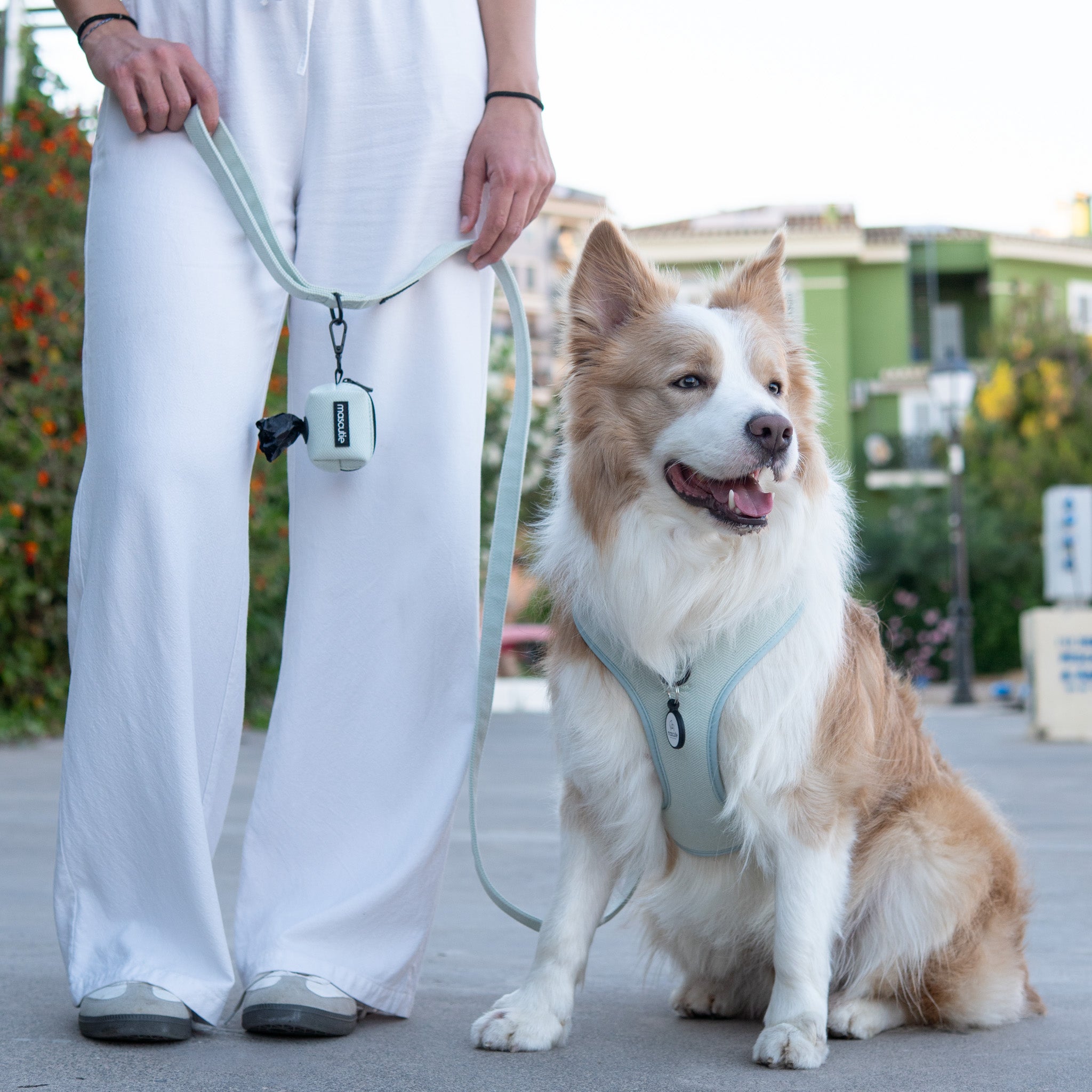 Kit Completo Arnés Tweed I Mint