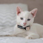 Collar Tweed | Sandy