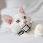 Collar Tweed | Mint