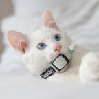 Kit Completo Collar Tweed I Mint
