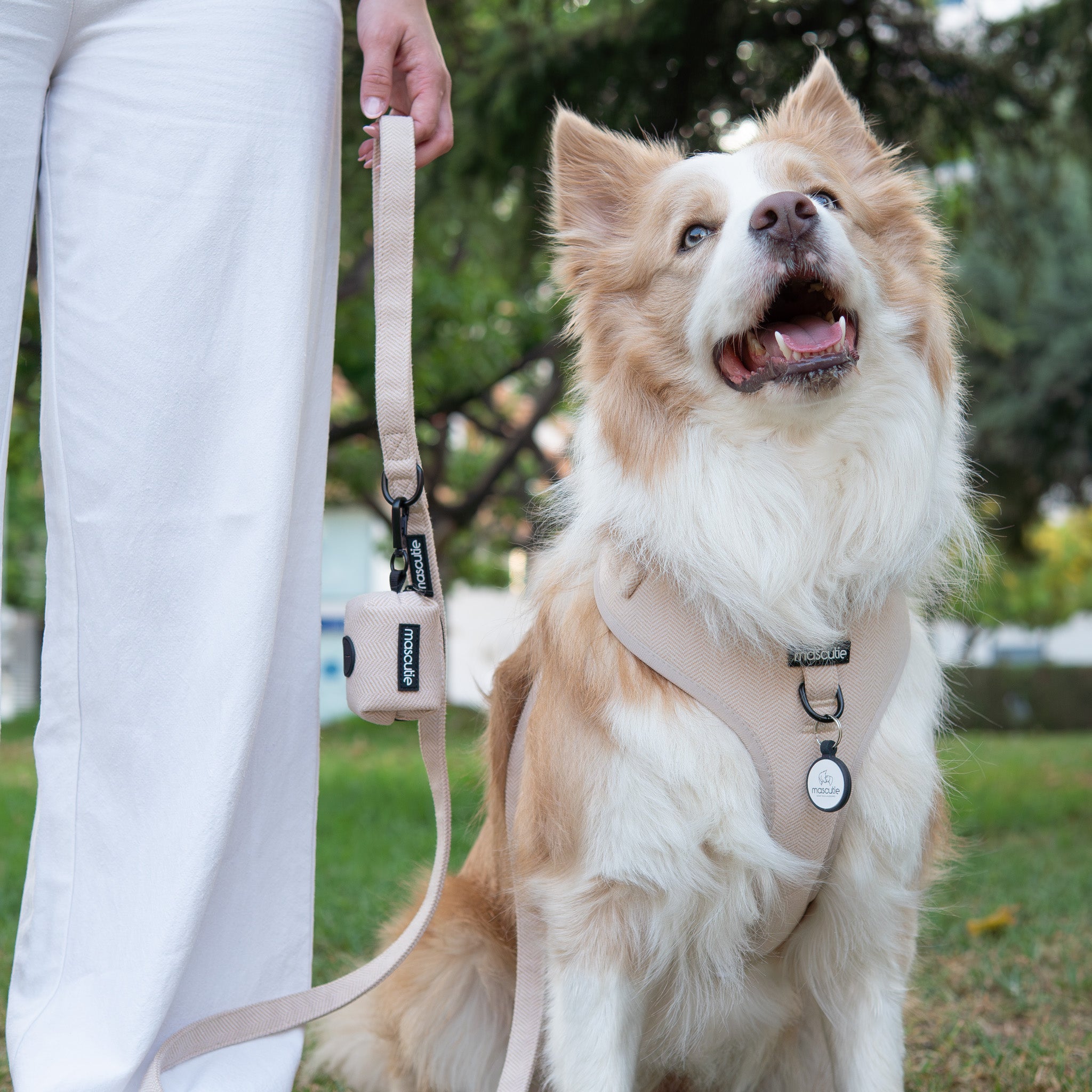 Kit Completo Arnés Tweed I Sandy