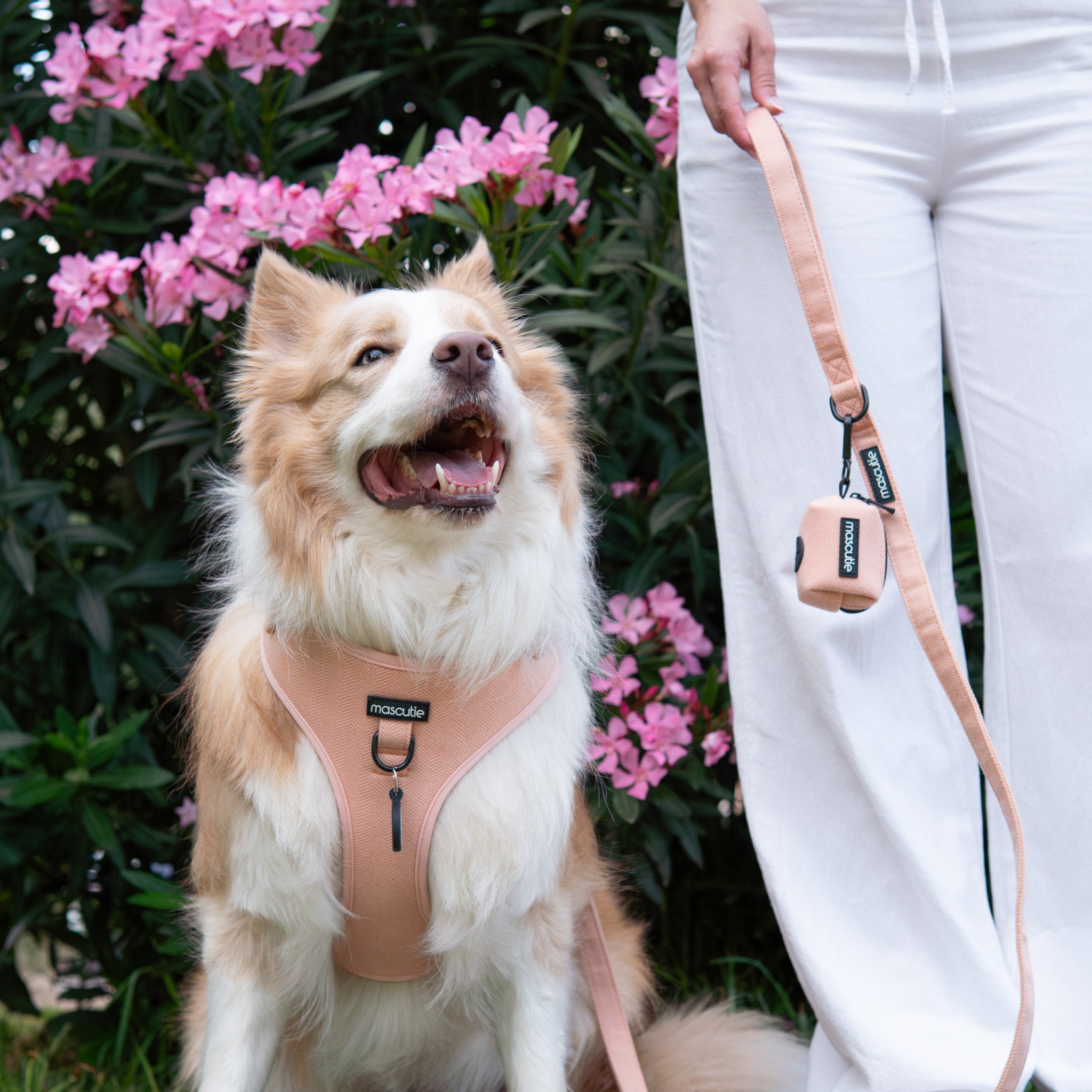 Kit Completo Arnés Tweed I Peach