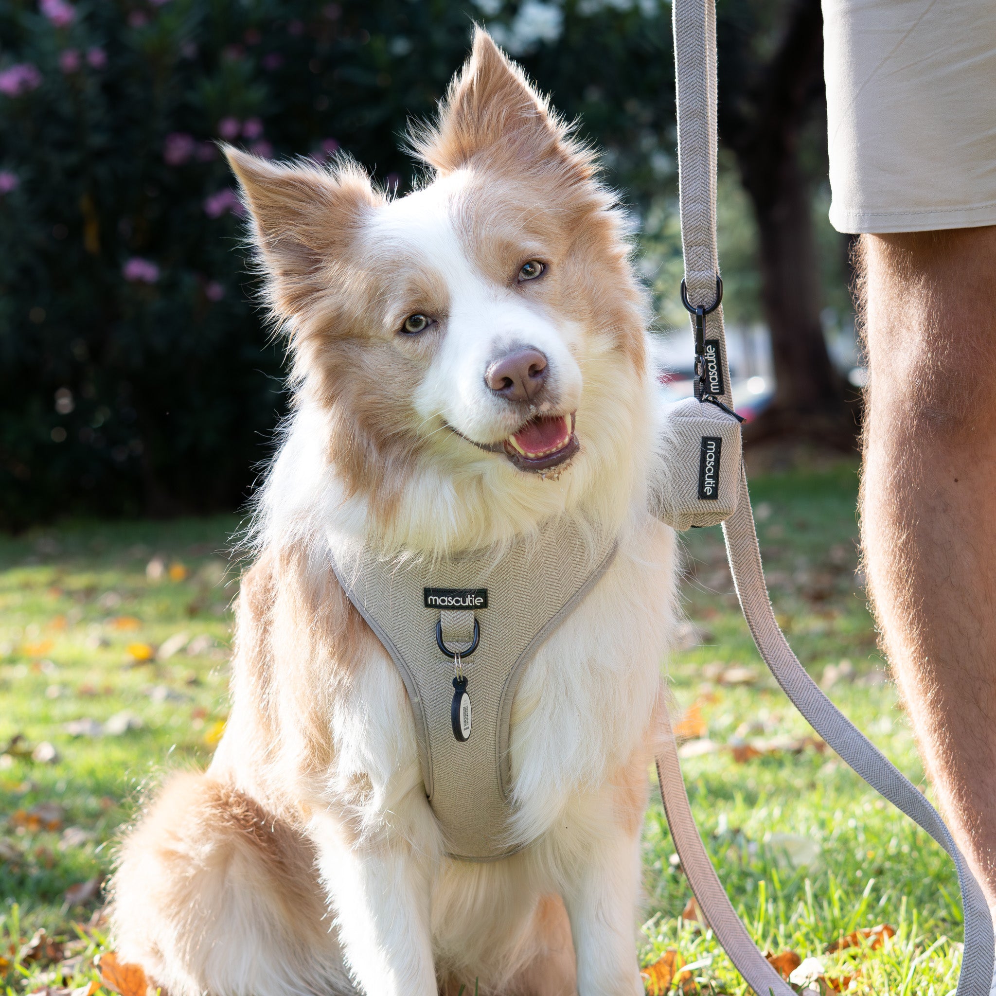 Kit Completo Arnés Tweed I Gray