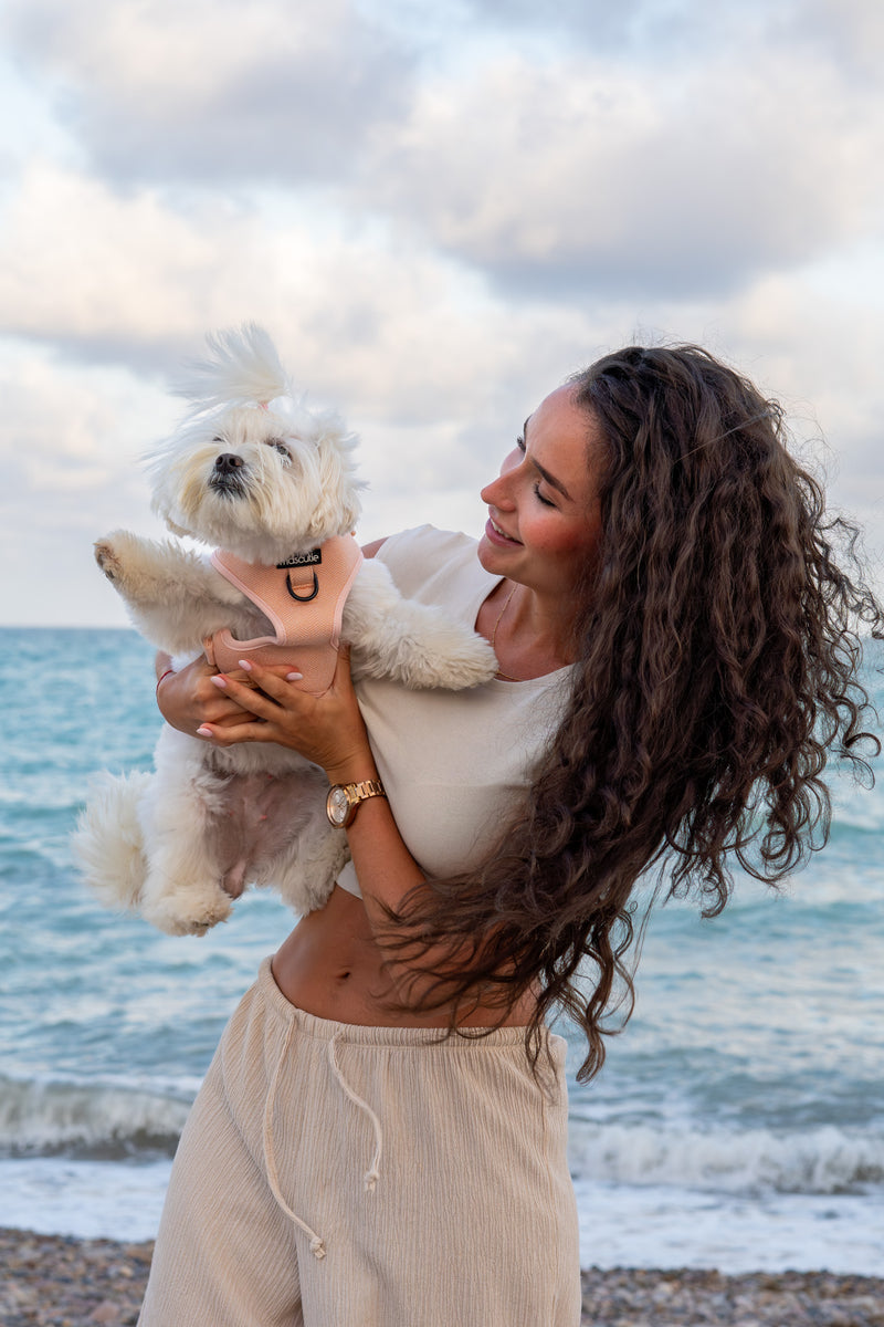 multicolumns-item-image-2