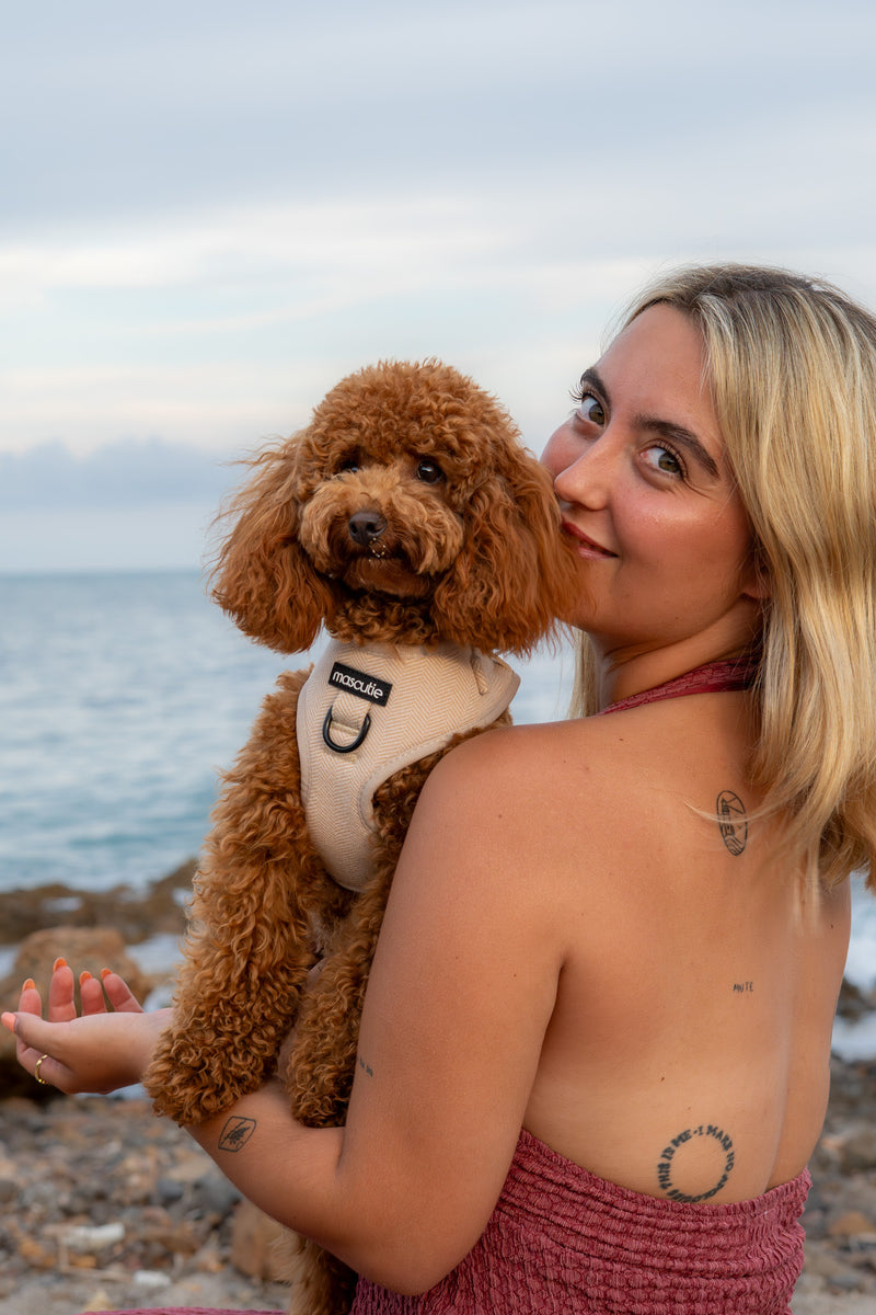 multicolumns-item-image-1