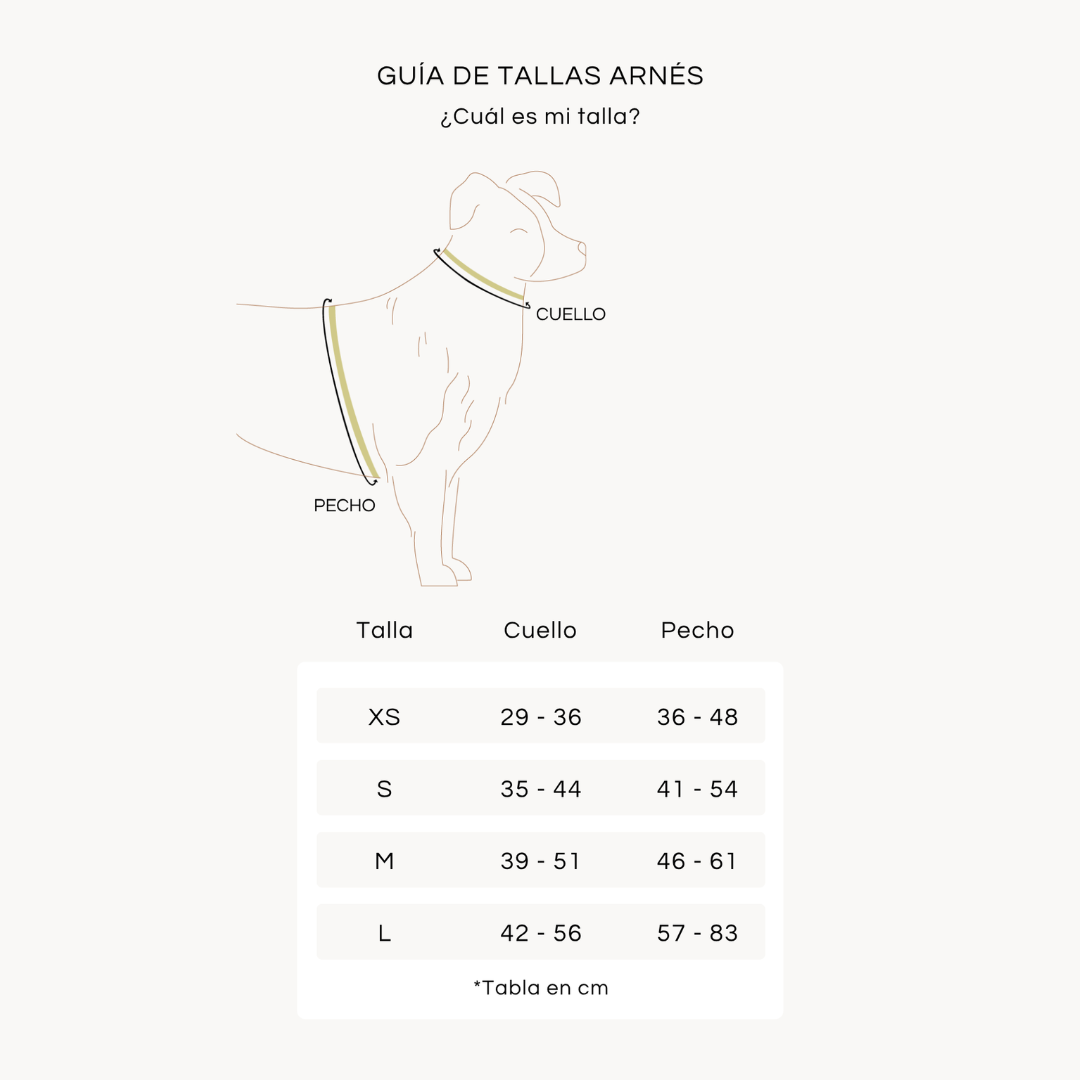 GUIA TALLAS ARNES