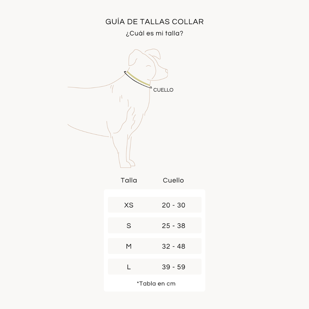 GUIA TALLAS COLLAR