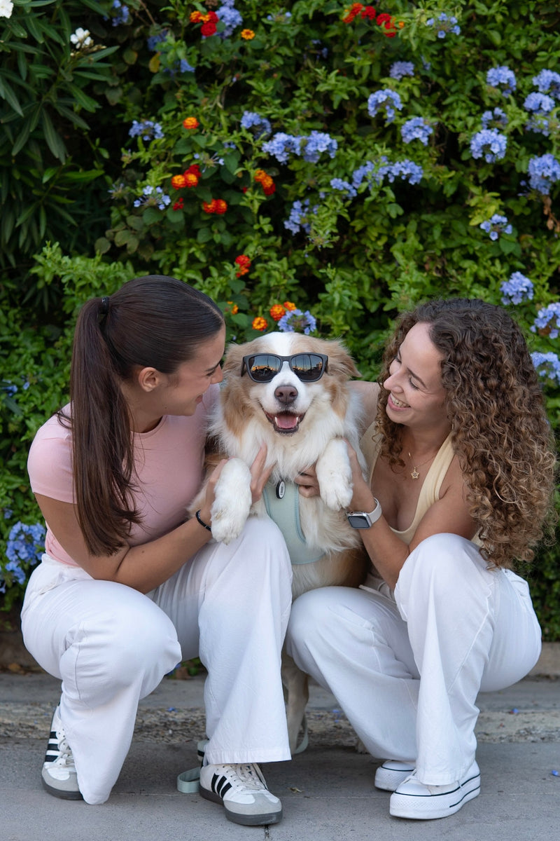 multicolumns-item-image-3