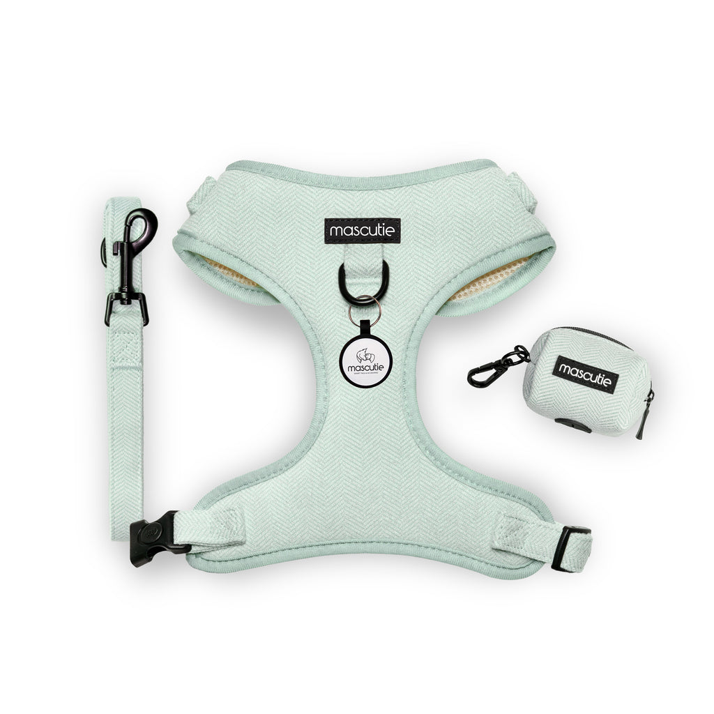 Kit Completo Arnés Tweed I Mint