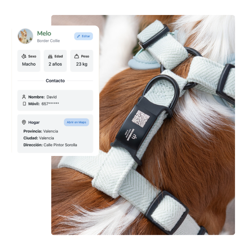 multicolumns-item-image-3